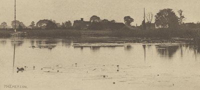 メアのフリンジ 作： Peter Henry Emerson