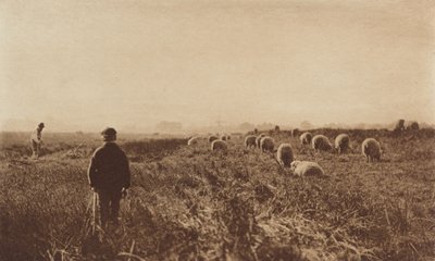 6月の湿地 作： Peter Henry Emerson