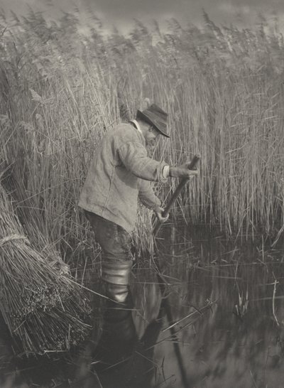 仕事中のリードカッター 作： Peter Henry Emerson and T.F. Goodall