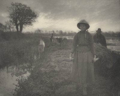 湿地干し草のポーリング 作： Peter Henry Emerson and T.F. Goodall