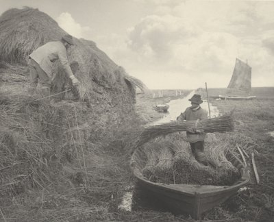 葦をなめる 作： Peter Henry Emerson and T.F. Goodall