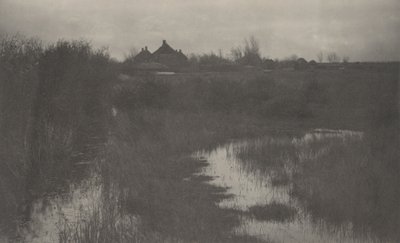 マーシュのフリンジ 作： Peter Henry Emerson and T.F. Goodall