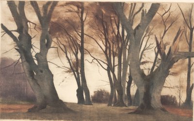エルメルンデンのブナの木 作： Peter Vilhelm Ilsted