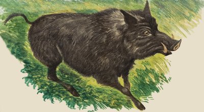 彼らが若かったとき 作： Peter Jackson