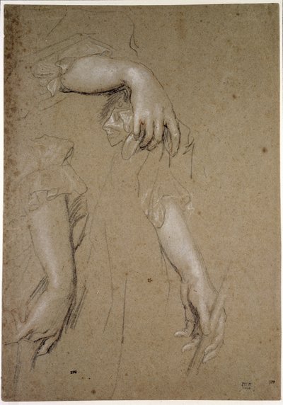 手に関する研究、17世紀（紙にチョーク） 作： Peter Lely