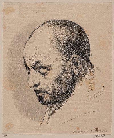 ハゲ男の頭 作： Peter Ludvig Meisling