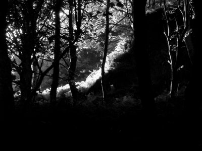 KINTYRE...PLUS.17 作： Peter McClure