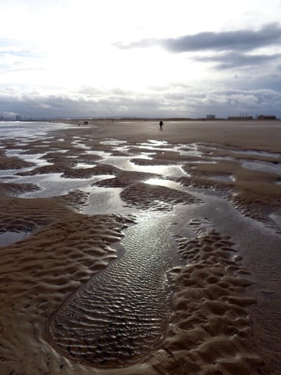LOW TIDE HARTLEPOOL、2016、（写真） 作： Peter McClure