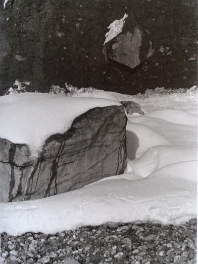 VINTAGE B＆W PHOTO No.3、1985、（写真） 作： Peter McClure