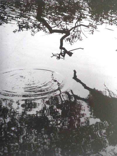 VINTAGE B＆W PHOTO No.5、1986、（写真） 作： Peter McClure