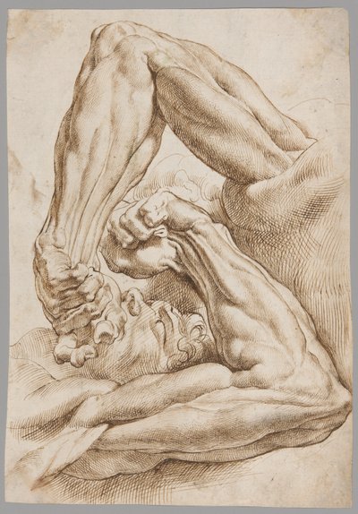 解剖学的研究のシート 作： Peter Paul Rubens