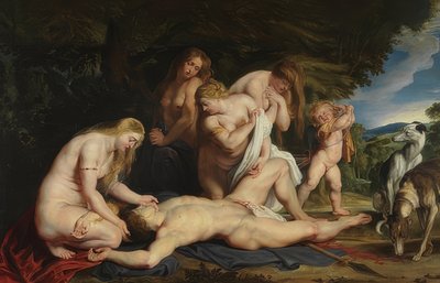 アドニスの死（金星はアドニスを悼みます）。 1614年頃 作： Peter Paul Rubens