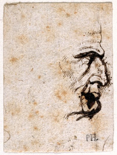 ガルバ、最初の12人のカエサルのうち8人の10枚の絵から、ジョヴァンニ・ダ・カヴィーノのメダルの後に（紙にペンとインク 作： Peter Paul Rubens