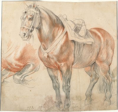 鞍馬。 1615-18年頃 作： Peter Paul Rubens