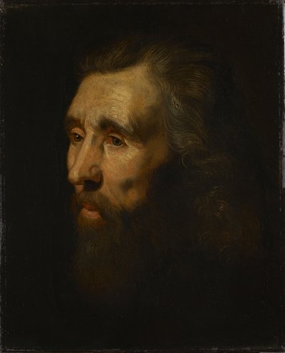  作： Peter Paul Rubens