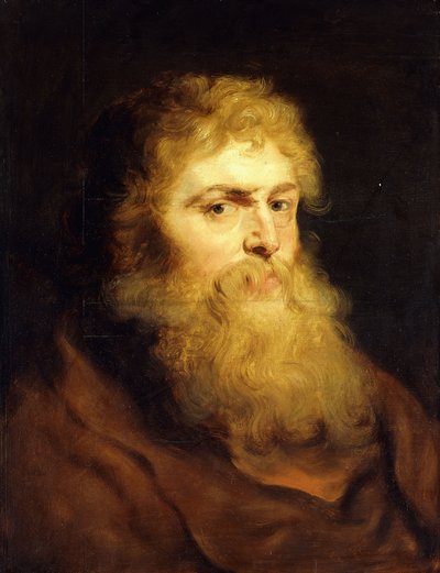 ひげを生やした男の頭、 作： Peter Paul Rubens