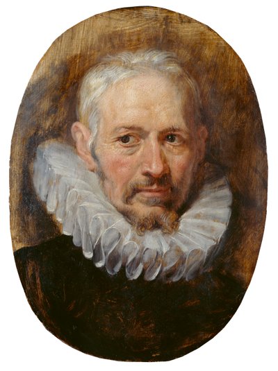 老人の頭部（パネルに油彩） 作： Peter Paul Rubens