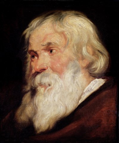 老人の頭 作： Peter Paul Rubens