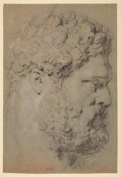 ファルネーゼのヘラクレスの頭 作： Peter Paul Rubens
