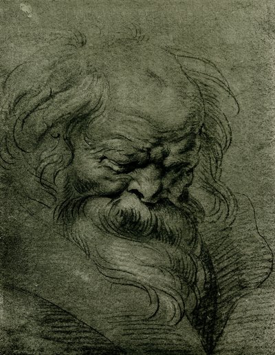 バッカスの主な研究 作： Peter Paul Rubens