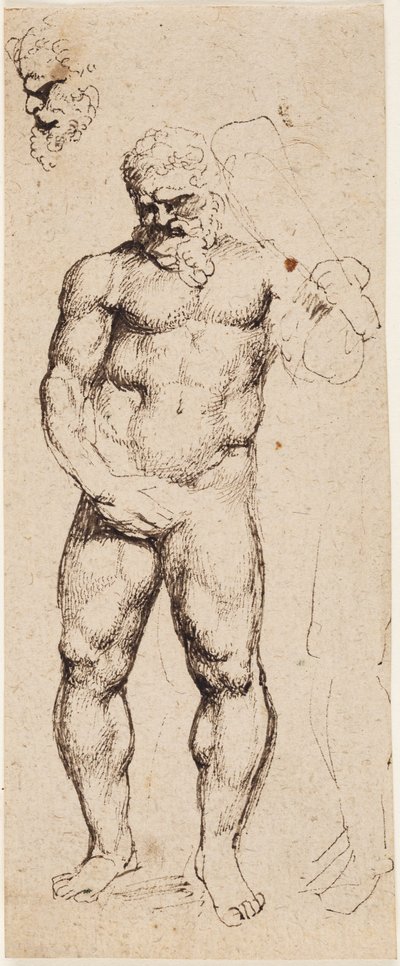 ヘラクレス 作： Peter Paul Rubens