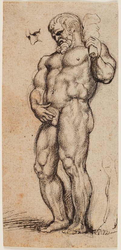 ヘラクレス 作： Peter Paul Rubens