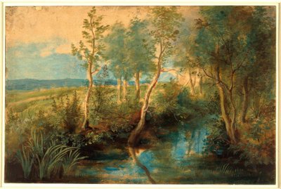 木々に張り出した小川のある風景 作： Peter Paul Rubens