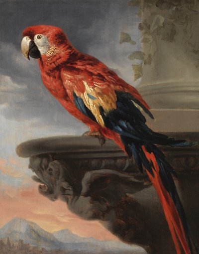 オウム、1630〜40年頃 作： Peter Paul Rubens