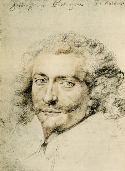 バッキンガム公ジョージ・ヴィリエの肖像 作： Peter Paul Rubens