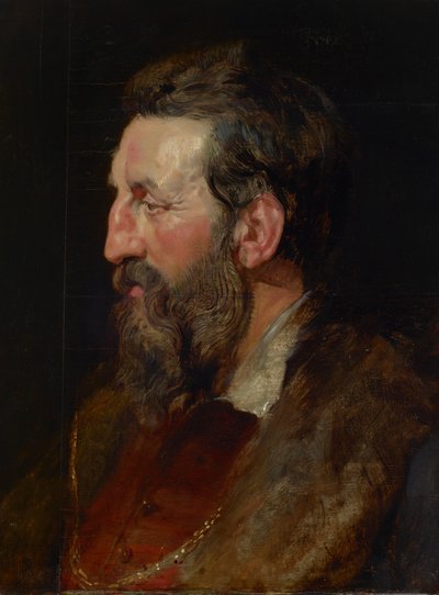 Retrato de um homem, c.1615 (óleo sobre painel) 作： Peter Paul Rubens