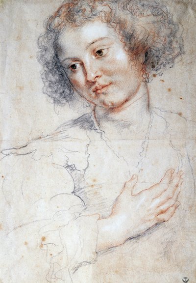女性の肖像（聖アポロニアの肖像のための習作）（デッサン 作： Peter Paul Rubens