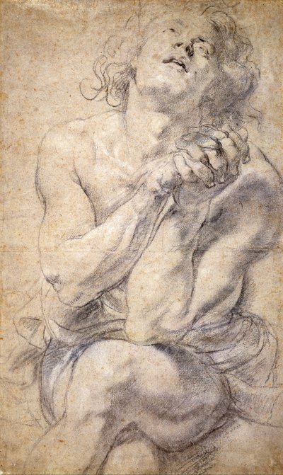 座っている男性の青年（ダニエルのための研究） 作： Peter Paul Rubens