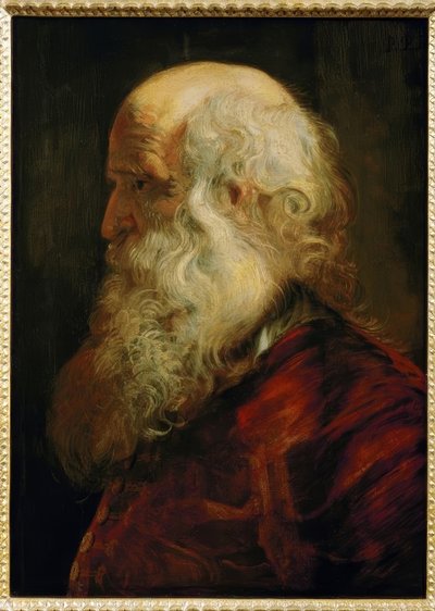 老人の頭を研究する 作： Peter Paul Rubens