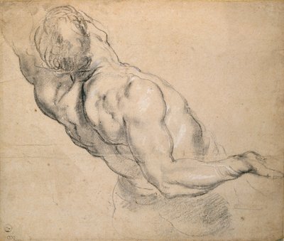 裸の男性の胴体の研究、1600-1640 作： Peter Paul Rubens