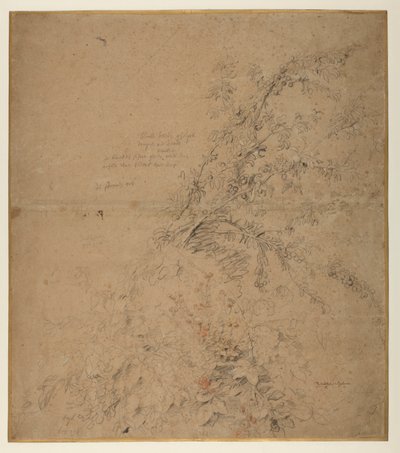ブランブルと他の植物を持つブラックソーンの研究、1620年頃 作： Peter Paul Rubens