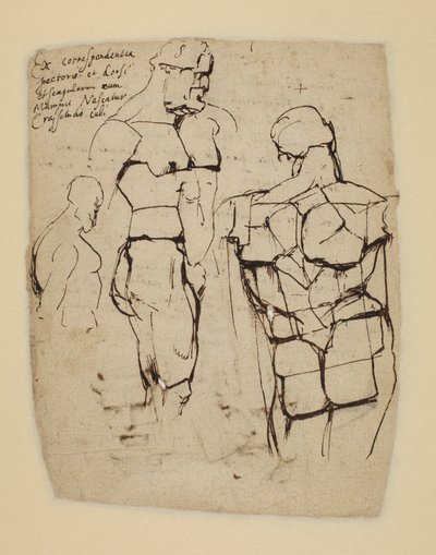 ファルネーゼのヘラクレスの研究 作： Peter Paul Rubens
