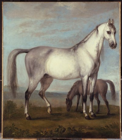 広大な丘陵の風景の中の灰色の馬と子馬 作： Peter Tillemans