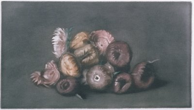 ドライフラワーの静物画（カラーメゾチント 作： Peter Vilhelm Ilsted