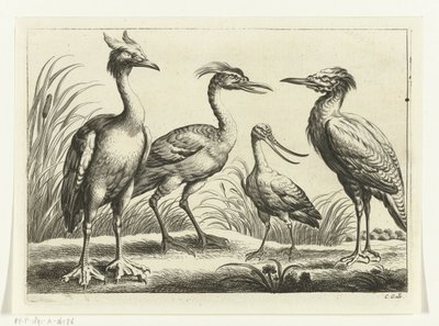 4 つのウェーダー Diversarum avium 種 (シリーズ タイトル) 別の鳥（シリーズタイトル） 作： Peter van Liesebetten
