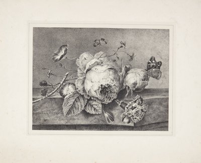 花の静物 作： Petronella van Woensel