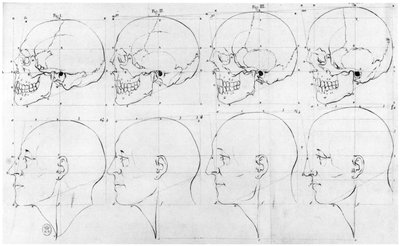サルからアポロへの移行、「人相を特徴付ける自然品種に関する論文」のイラスト、シェH.ヤンセン、パリ、1791年発行 作： Petrus Camper