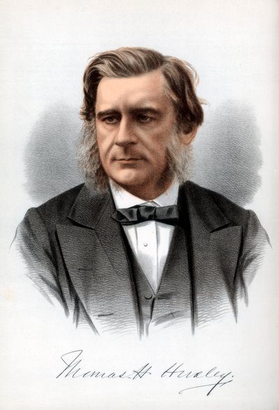 トーマス・ヘンリー・ハクスリー、英語生物学者、c1890。 作： Petter and Galpin Cassell