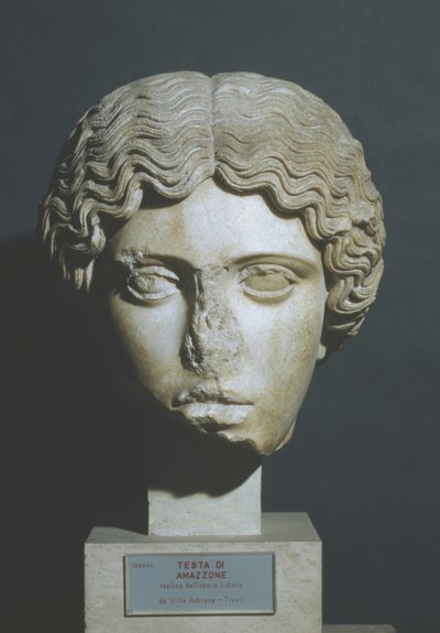 アマゾンの頭 作： Phidias Phidias