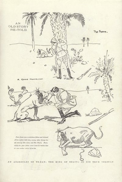 今日のアンドロクルス、彼の本当の色の獣の王 作： Phil May