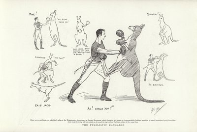 ピューリスティックカンガルー 作： Phil May