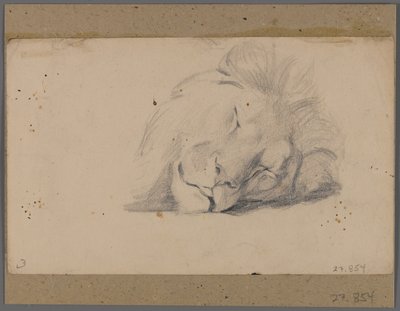 眠っているライオンの頭（ウィンドウマットに貼られた紙の上のグラファイト） 作： Philip H. Wolfrom