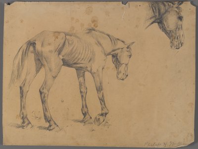 馬と馬の頭（紙に黒鉛） 作： Philip H. Wolfrom