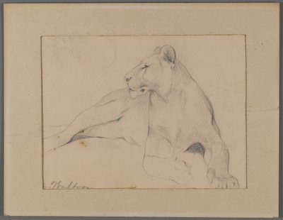 ライオネス（ウィンドウマットに貼り付けた紙に黒鉛） 作： Philip H. Wolfrom