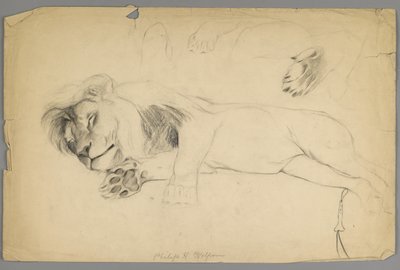 眠れる獅子（紙に黒鉛） 作： Philip H. Wolfrom
