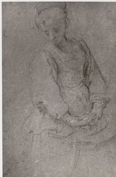 ドメニキーノ、哀愁 作： Philip Henry Delamotte